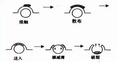 消泡机理